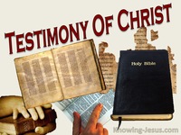 Testimony Of Christ - Perfect MAN Eternal SON (13)